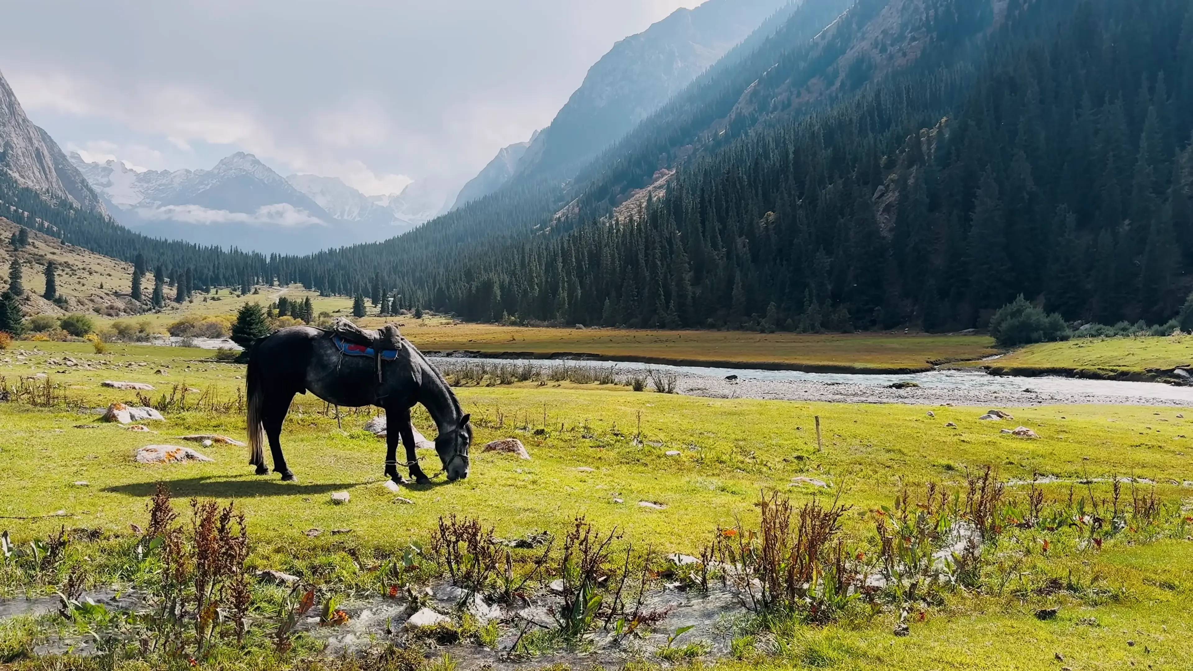 Echos der Seidenstraße