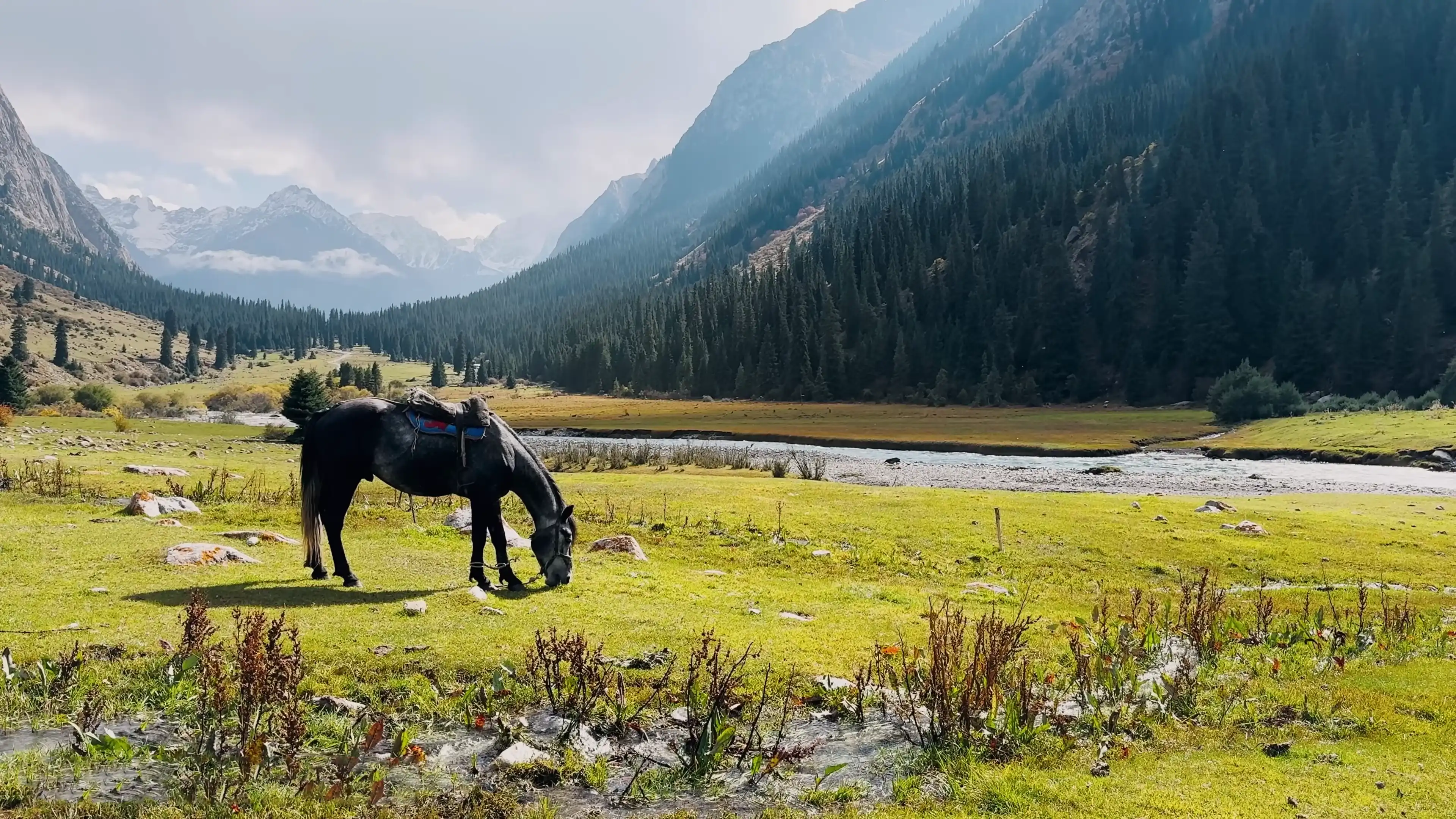 Kyrgyzstan Tours